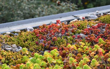 the cost of Manor Hill Corner green roof installation