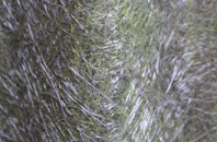 Manor Hill Corner fibreglass roof work